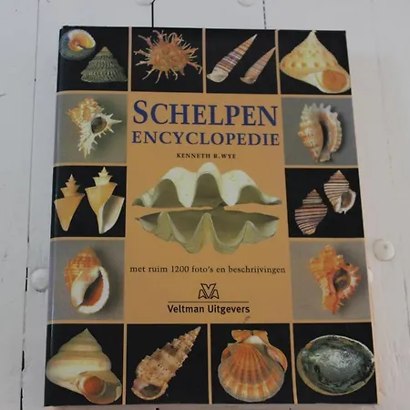 Klein Oldenburg 펜션 *